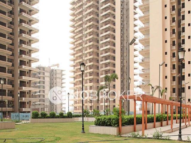 Flat for rent in Gaur Yamuna City, 16th Park View(GYC)