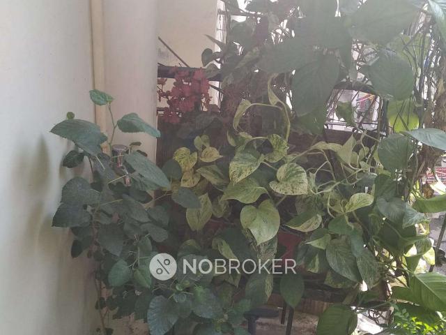 Flat for sale in South Delhi, Deri