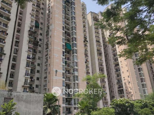 Flat for rent in Greater Noida - Delhi, Arunachal Pradesh