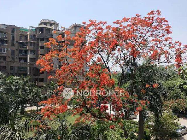 Flat for rent in Bahlolpur, Arunachal Pradesh