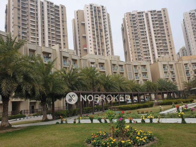 Flat for rent in Greater Noida - Delhi, Arunachal Pradesh