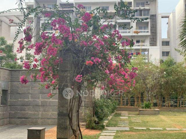 Flat for rent in Bangalore East, Cox Town - Bangalore