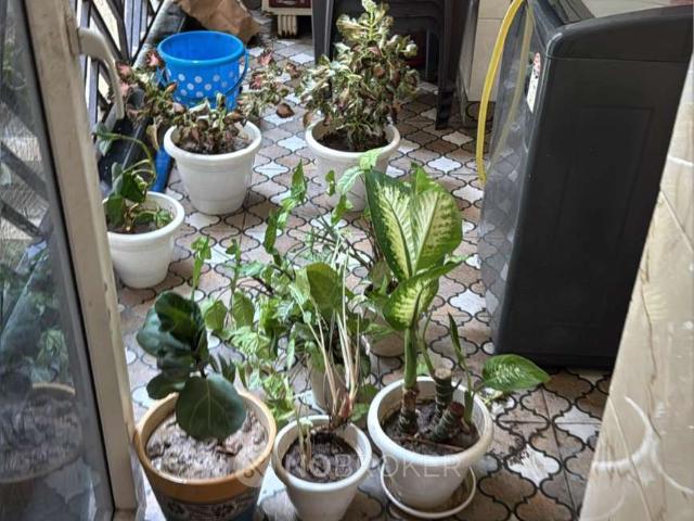 Flat for rent in Vasundhara - Delhi, Arunachal Pradesh