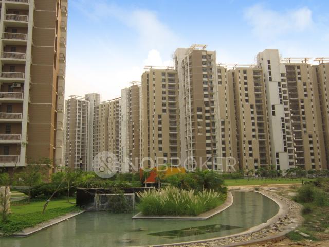 Flat for rent in Pi, Arunachal Pradesh