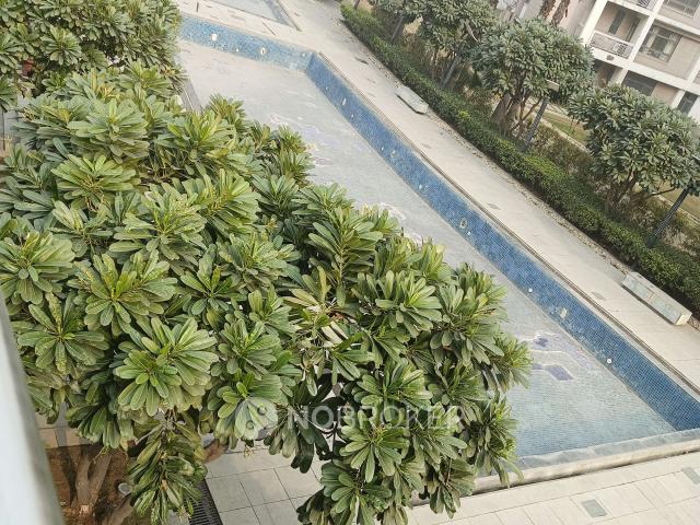 Flat for sale in Pi, Arunachal Pradesh