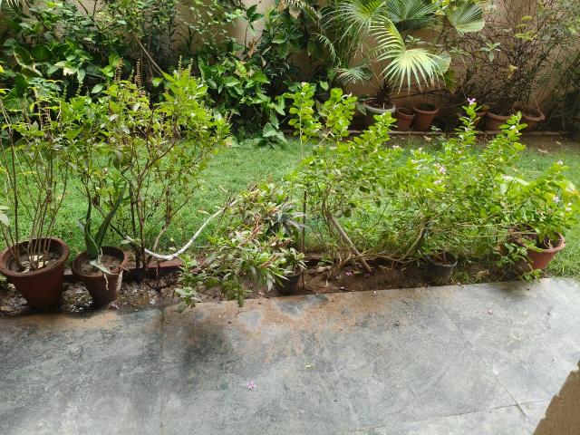 Flat for rent in Deri
