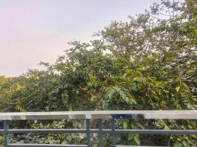 Flat for rent in South Delhi, Deri
