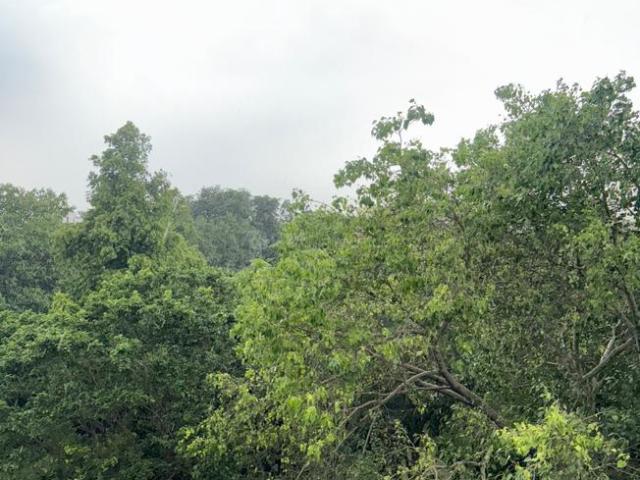 Flat for sale in Deri