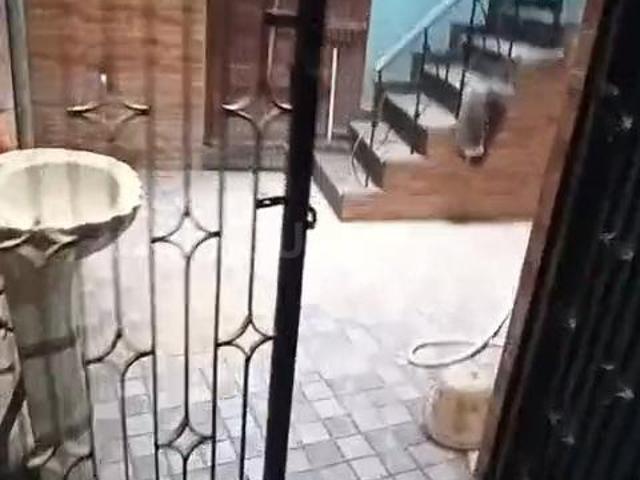 Flat for rent in Ayodhya, Arunachal Pradesh