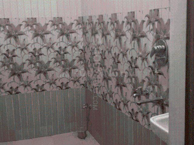House for rent in Etawah, Arunachal Pradesh