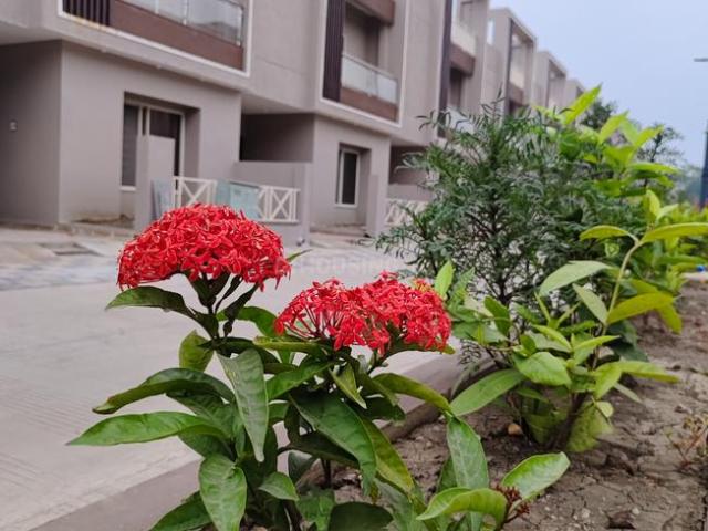House for rent in Madya