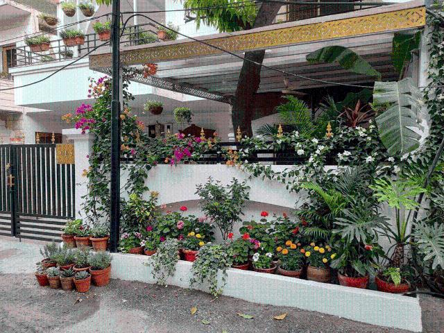 House for rent in Madya