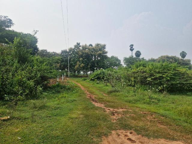 House for sale in Tamil Nadu