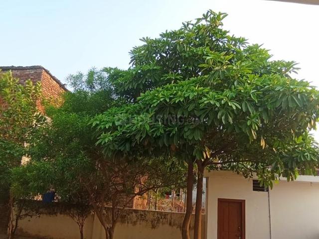 House for rent in Azamgarh, Arunachal Pradesh