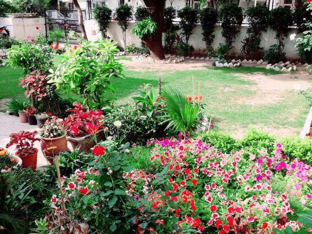 House for rent in Chandigarh, Union Territory Of Chandigarh