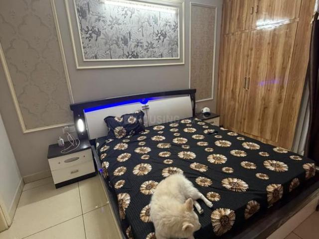 House for rent in Chandigarh, Union Territory Of Chandigarh