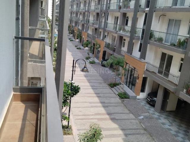 House for rent in Hariana