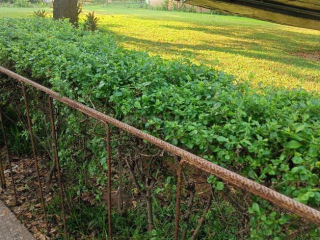 House for rent in Sholinganallur - Chennai, Tamil Nadu
