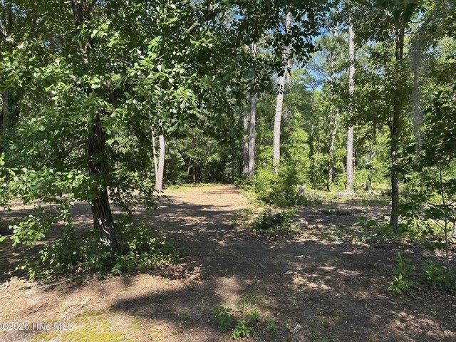 Land for sale in Atkinson, North Carolina