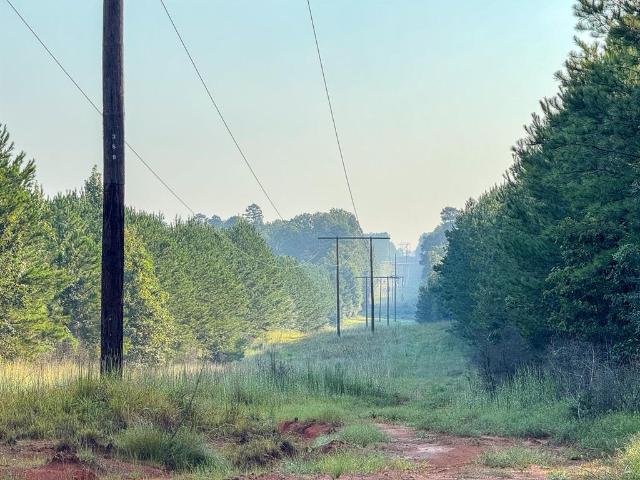 Land for sale in Robeline, Louisiana