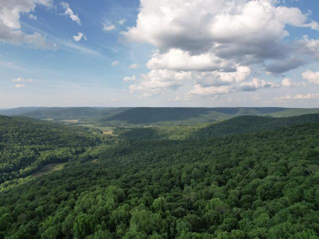 Land for sale in Tennessee
