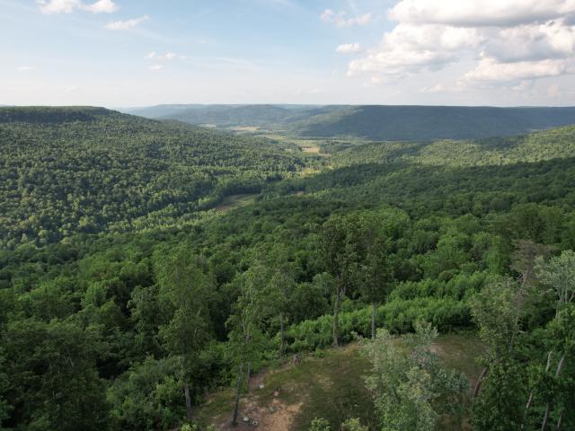 Land for sale in Tennessee