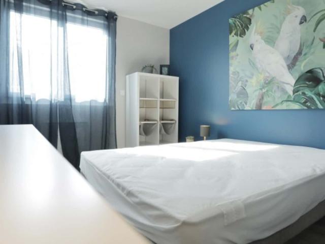 Appartement location à Toulouse