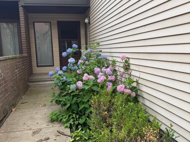 Apartment for rent in Ohio