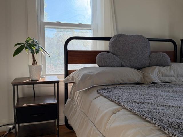 Apartment for rent in Dorchester, Boston