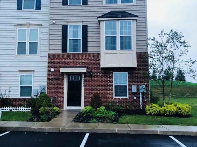 Apartment for rent in Pennsylvania