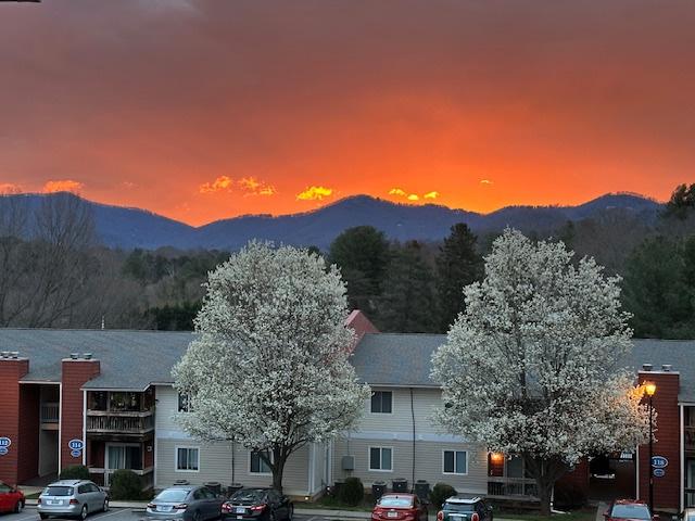 Apartment for rent in Asheville