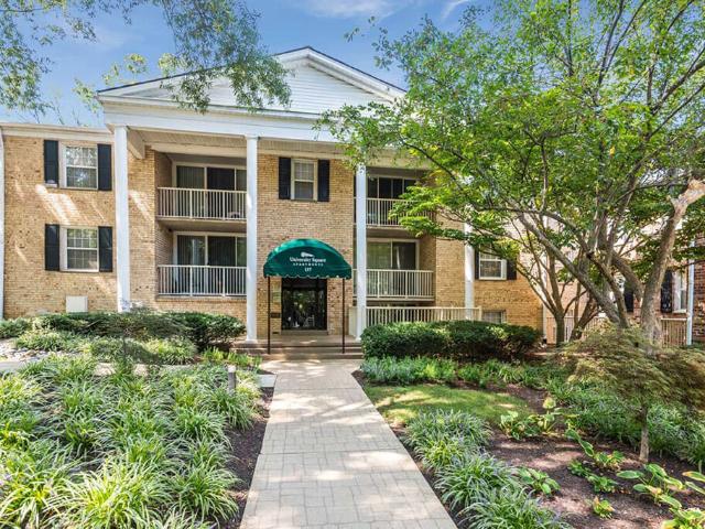 Apartment for rent in Greenbelt