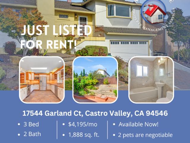 Apartment for rent in Castro Valley Apartment for rent in Castro Valley