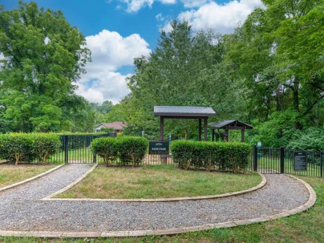 Apartment for rent in Asheville