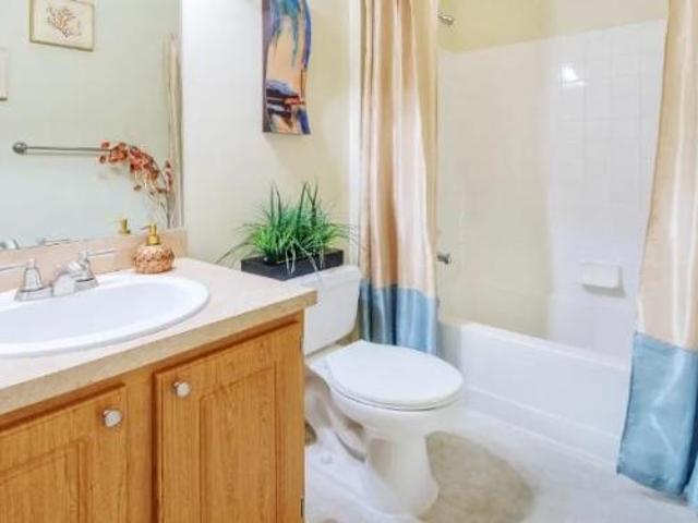 Apartment for rent in Coral Springs