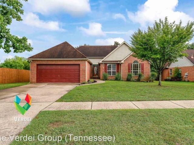 House for rent in Mount Juliet