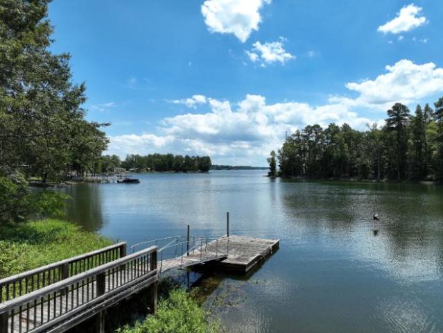 House for rent in Chapin House for rent in Chapin