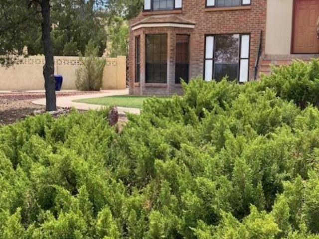 House for rent in New Mexico