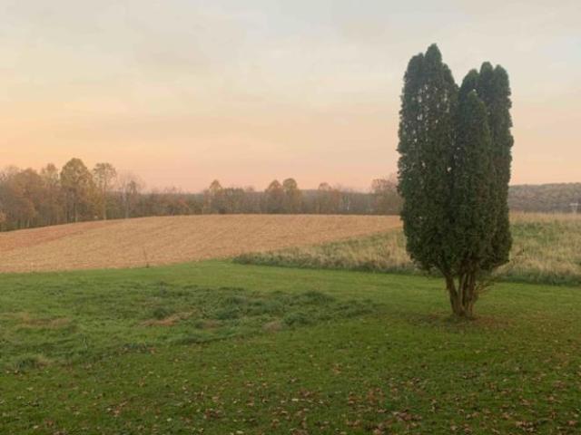 House for rent in Mohnton, Pennsylvania