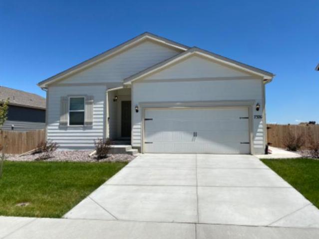 House for rent in Colorado