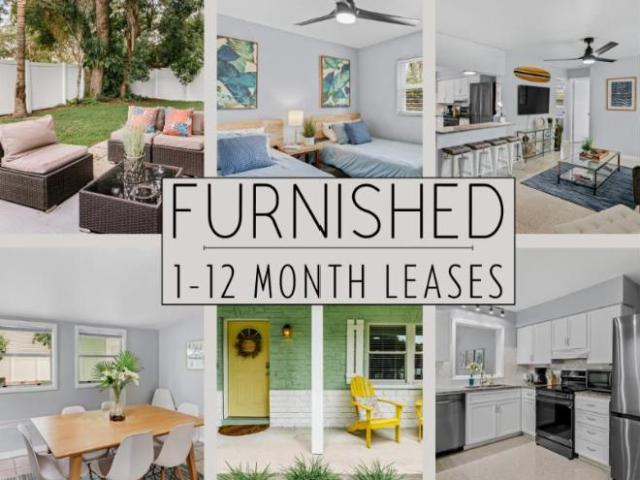 House for rent in Safety Harbor, Florida