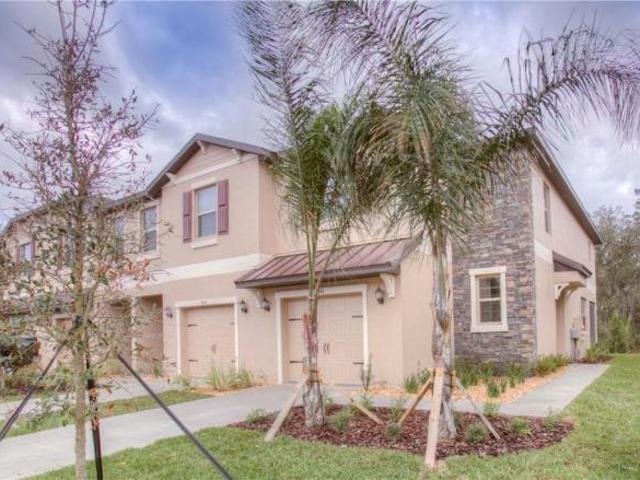 House for rent in New Port Richey, Florida