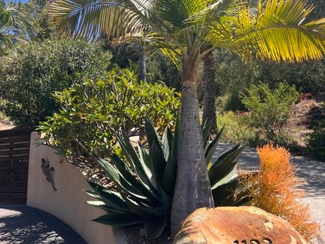 Apartment for rent in California