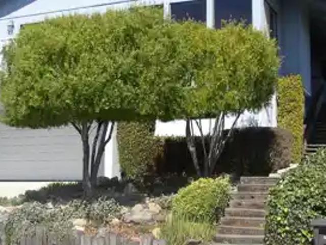 Apartment for rent in Pismo Beach