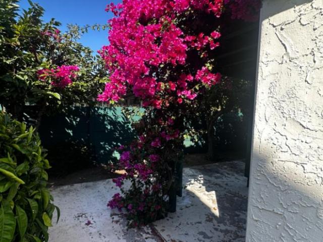 Townhouse for rent in San Jose