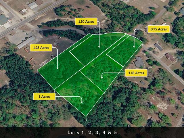 Land for sale in Eutawville, South Carolina