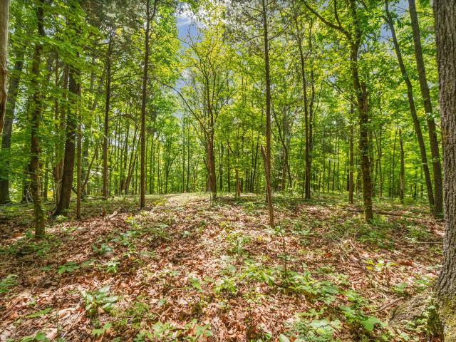 Land for sale in Middle Tennessee, Tennessee
