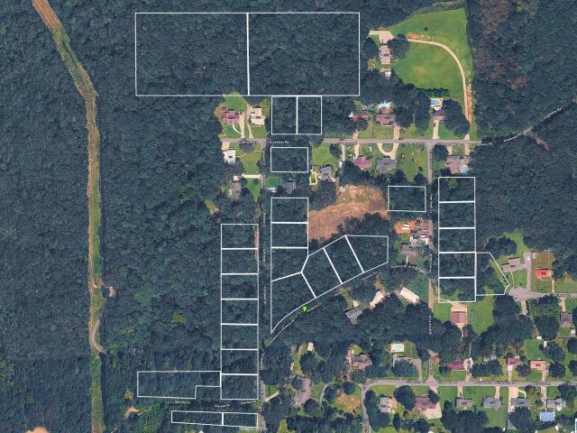 Land for sale in Woodmont, Pell City