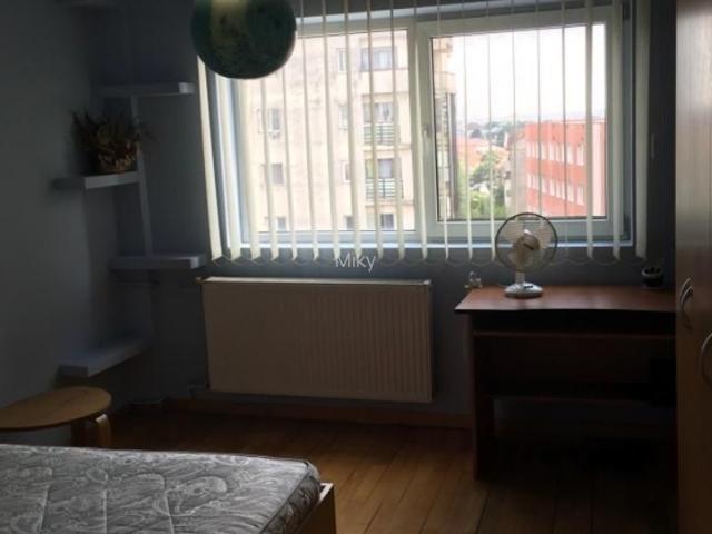 Apartament închirieri în Timisoara, Timiș