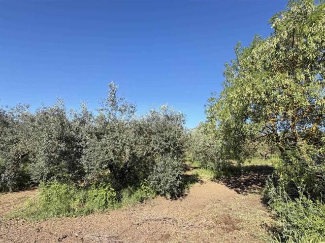 Casa in vendita a Marrucheti, Campagnatico